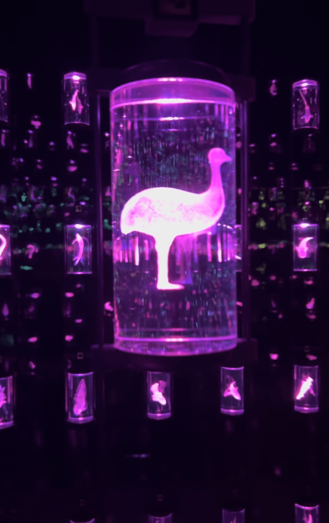 Museum of the future: Dubai, United Arab Emirates: Itineraries, Laws and Viral Chocolates